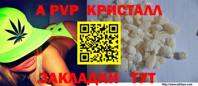 хмурый Новозыбков