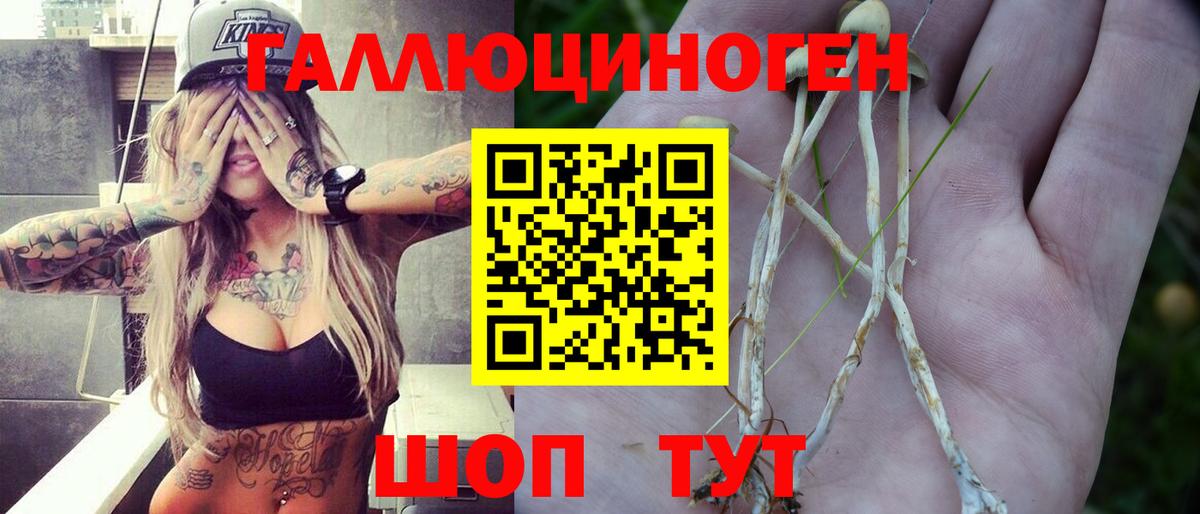 Псилоцибиновые грибы мухоморы Тихорецк